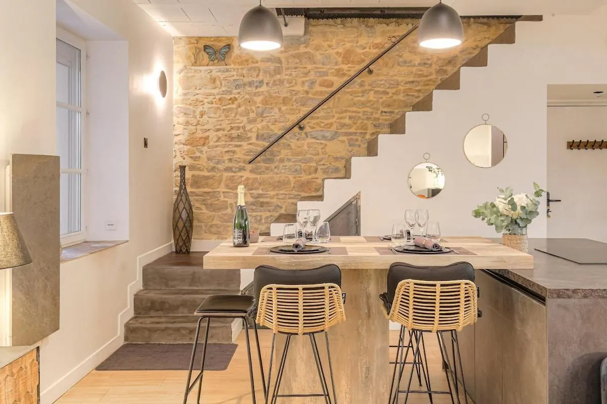 Apartman Le Cocon Du Papillon Bleu I 2 Suites Parentales Avec Terrasse En Plein Coeur De Lyon I Parking Inclus