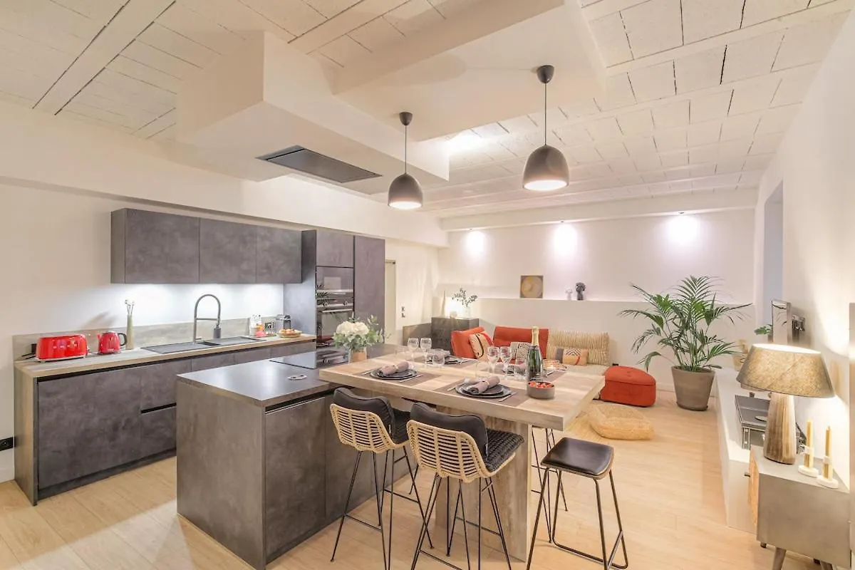 Le Cocon Du Papillon Bleu I 2 Suites Parentales Avec Terrasse En Plein Coeur De Lyon I Parking Inclus Apartman